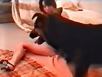 Amateur private home dog sex2