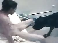 Amateur slut fucking dog - Dog Porn