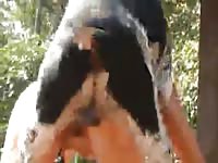 Anal knot trouble 1