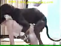 And then he grabs her