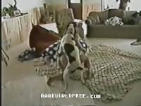 Animal sex dog woman wendy with her dogs very excellent fu