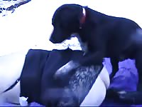[ Caledonian NV - Bestiality amateur porn ] scoop and the snow bunny