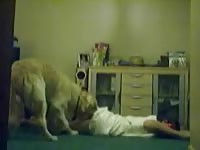 [ Caledonian NV - Dog porn XXX ] shylarks first time