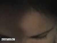 Couple with dog4 - Dog Porn