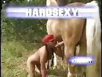 Crazy horse 7 travas mulheres e gays leporno org