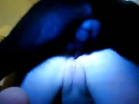 Creampie3 - Dog Porn