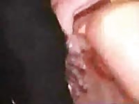 Curly zoo teen girl arkafterdark