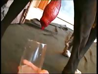 Dog cum best of cumshots part 2