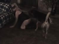 Dog lover2