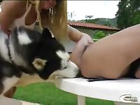 Dog lovers series aline czoo