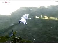 Dog vs dog