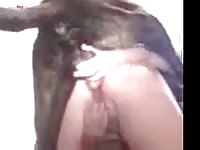 Doggie2