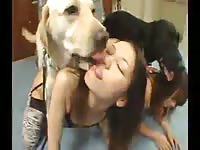 Doggy mix