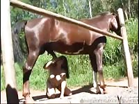 Dogstyle for my horse
