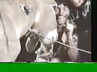 Donkey cums in her mouth