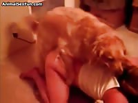 16 12 4 amateur tube videos porn horse stories 2559