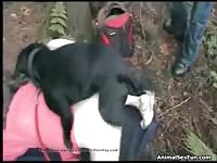 1810 02 amateur tube videos porn horse stories 1569