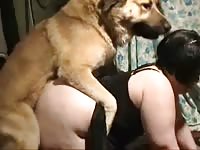 2 girls get knotted