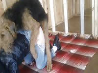 38yo hot wife with aeridale active fuck and creampie - Dog Porn