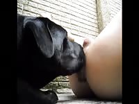408 rusz russian beastiality 2018 zoo sex from moscow