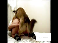 415 rusz russian bestiality porn 2018 zoo sex from moscow - Dog Porn