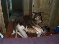 445 rusz russian zoophilia porn video 2018 zoo sex from moscow