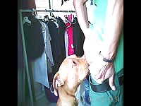 541 rusz russian Bestiality Sex video 2018 zoo sex from moscow