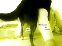 Amat - Dog Porn