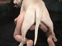 Amateur dogsex movie 128