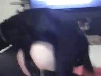 Amateur dogsex movie 28