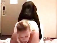Amateur dogsex movie 41