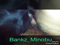 Homemade Boy Fuck Dog Gaybeast Rip - Beastiality Sex