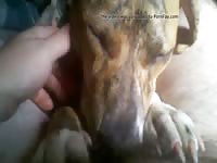Horny Girl Gives The Best Blowjob Gaybeast - Bestiality Sex Movie