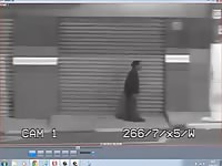 Horny Man Caught On Securitycamera On Public Road Having Sexual Encounters With Strays Gaybeast.Com - Animal Sex Video