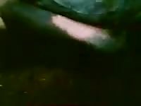 Horny Horse 2 Gaybeast Rip - Bestiality Sex Movie