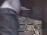 Horse Anal Fuck Gaybeast.Com - Beastiality XXX Porn Video