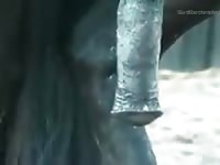 Horse Fucks Man Til Cum Gaybeast Rip - Animal Porn
