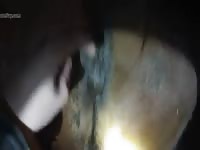 Horse Play 2 Gay Beast Com - Beastiality Porn