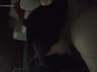 Hot 2 Gay Beast Com - Zoo Xxx Sex Tube