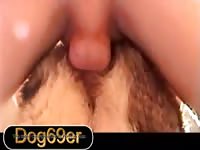 Hot Girl 5 Gaybeast Rip - Beastiality Porn Tube