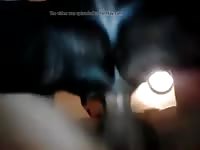 Hot Cum Gaybeast - Animal Sex Tube