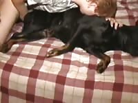 Hot Dog Fuck In Ass Gaybeast - Beastiality Sex Movie