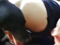 Hot Girl Fucked By Dog