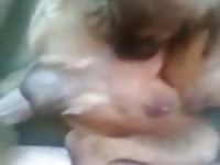 Hot Sex Gaybeast Rip - Animal Porn