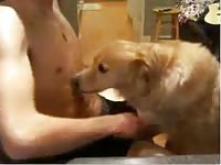 Hot Teen Dog Gaybeast Rip - Beastiality Sex Video