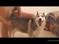 Hotstuff Gaybeast Rip - Zoo Xxx Sex Tube