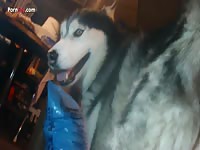 Husky Anal Fisting