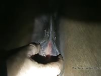 I Fuck My Horse 07 Male Bestiality Male Zoo Porn Animalsex Gay Zoosex