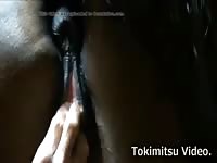 I Fuck My Horse 21 Male Bestiality Male Zoo Porn Animalsex Gay Zoosex