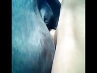 I Love Mares Man Fucks Mare Petlust
